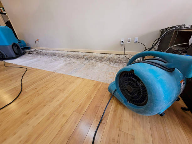 Professional Water Damage Repair technician working in Clinton, WA